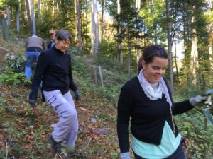 Unterhalt Schmelzibach Herbst 2019 (10)