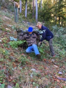 Unterhalt Schmelzibach Herbst 2019 (11)