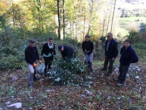 Unterhalt Schmelzibach Herbst 2019 (12)