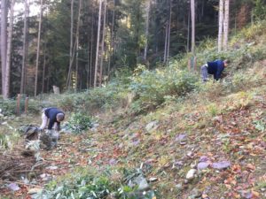 Unterhalt Schmelzibach Herbst 2019 (2)