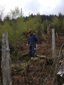 Zäunen Tilserwiese 2019 (12)