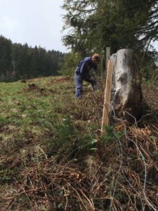 Zäunen Tilserwiese 2019 (4)