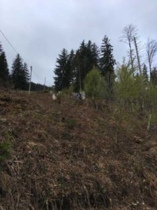 Zäunen Tilserwiese 2019 (6)