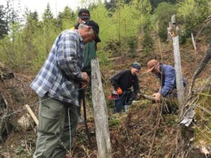 Zäunen Tilserwiese 2019 (9)