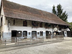 IMG_9097