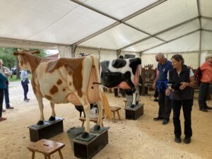 IMG_9186