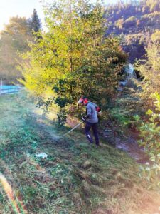 IMG_3746 - Kopie